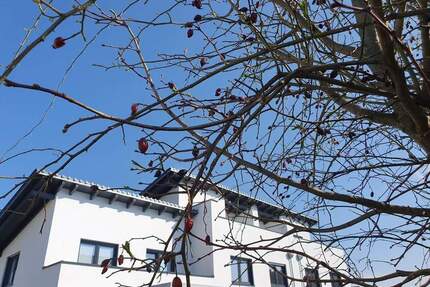* ERSTBEZUG * - Gemütliches REIHEN-HAUS mit DACHTERRASSE - Waldkraiburg