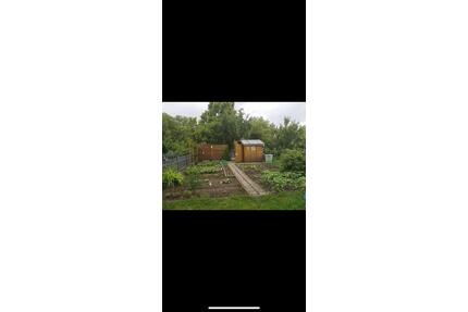 Gepflegter Pachtgarten in Magdeburg Nähe AMO