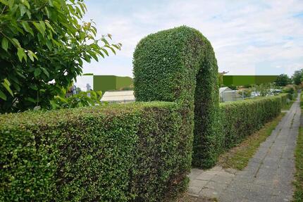 Kleingarten In Cotta - 4.300,00&nbsp;EUR Kaltmiete, ca.&nbsp; 0,00&nbsp;m&sup2; in Dresden (PLZ: 01309) Blasewitz