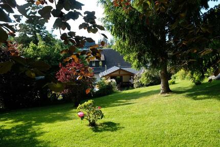 Attraktives 1-2 Familienhaus mit traumhaftem Grundstück und Pool - Claußnitz