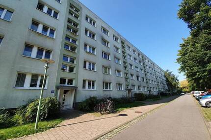 Helle 2-Zimmer-Wohnung mit Süd-Balkon in ruhiger Lage Greifswalds