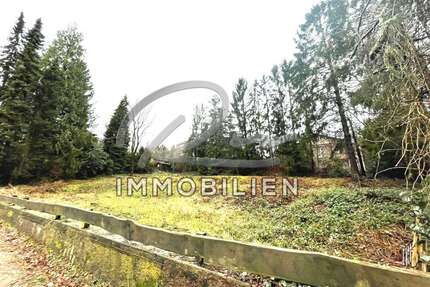 Grundstück zu verkaufen in Lütjensee 499.000,00 € 1002 m²