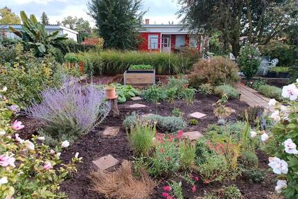 Schöner Pachtgarten in einer Kleingartenanlage abzugeben - Halle (Saale) Frohe Zukunft