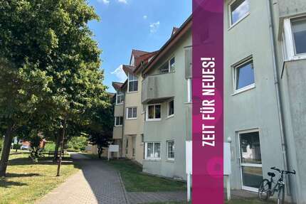 Wohnung zum Mieten in Salzmünde Schiepzig 230,00 € 21 m² - Salzmünde / Schiepzig
