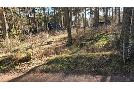 Pachtgrundstück in Gommern, Wald-, Naturgrundstück, Garten, 780qm