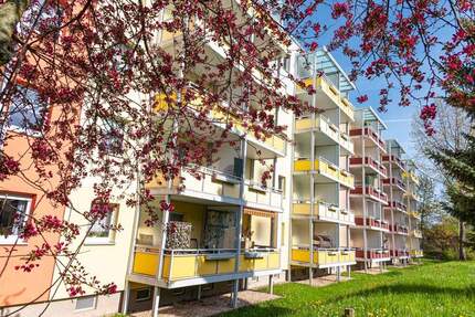 Top-sanierte 2-Raum-Wohnung in schöner Lage - Zwickau Eckersbach