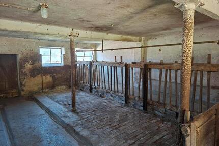 Stall + Weide + HeuStrohlager zu vermietenverpachten - Mainleus