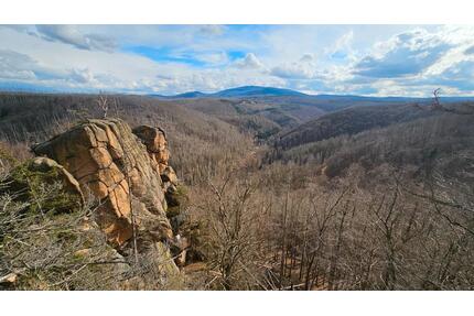 Wunderschöne 2-Zimmer-Wohnung in ruhiger Waldlage in Bad Harzburg
