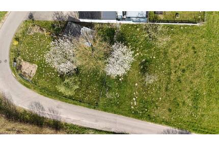 Großzügiges Baugrundstück im Baugebiet Steinenhäldele Wallbach - Bad Säckingen