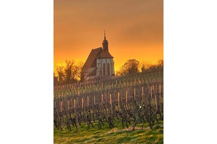 Wohnen inmitten der Weinberge! - 1.295,00&nbsp;EUR Kaltmiete, ca.&nbsp; 165,00&nbsp;m&sup2; in Volkach (PLZ: 97332)