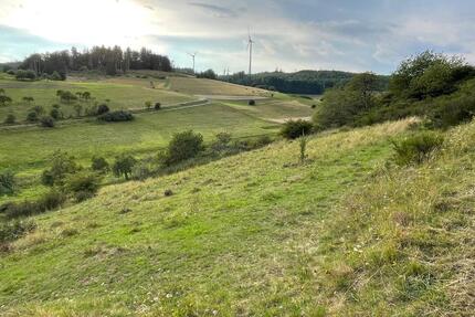 Grünland Wiese in Frechenhausen Angelburg