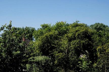 freistehendes Einfamilenhaus an der Urdenbacher Kempe - Düsseldorf Stadtbezirk 9