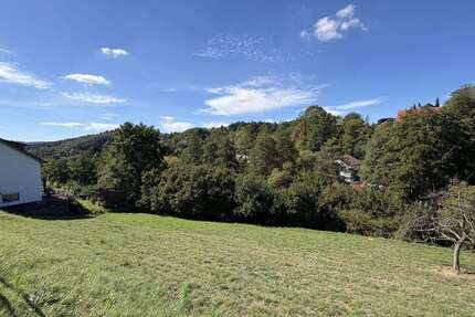 Grundstück zu verkaufen in Schriesheim 215.000,00 € 660 m²