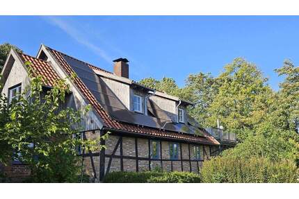 Gemeinsam, Natur, Toplage an der Schlei - Rieseby