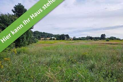 Haus zum Kaufen in Wettmar 399.050,00 € 136 m²