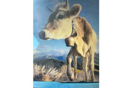 1 Zimmer Appartement in Obermaiselstein mit Pool wohnen auf Zeit - Kempten (Allgäu) Auf der Halde