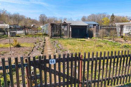 Kleingarten ca. 200 M2 - 300,00&nbsp;EUR Kaltmiete, ca.&nbsp; 0,00&nbsp;m&sup2; in Freiberg (PLZ: 09599)