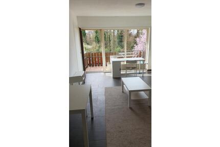 Renovierte 1-Zi.-Wohnung, möbliert in Sandhausen (Heidelberg)