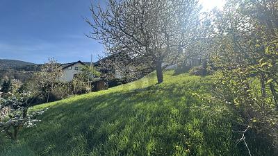 IDYLLE IN NATUR UND STADT - 169.000,00&nbsp;EUR Kaufpreis, ca.&nbsp; 589,00&nbsp;m&sup2; in Bühlertal (PLZ: 77830)