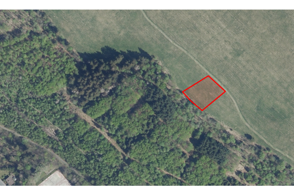 Bergwiese in Altenau im Landschaftsschutzgebiet 