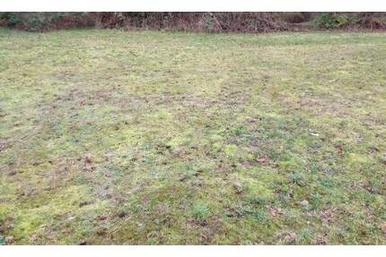 Grundstück in Lage-Waddenhausen für Ihr massives Traumhaus von CONCEPT HAUS