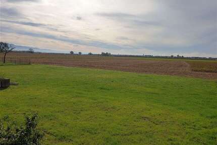 Haus zum Kaufen in Rheinmünster 449.000,00 € 137 m²