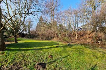 Grundstück zu verkaufen in Bad Doberan 130.000,00 € 520 m²