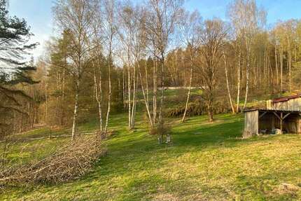 Grundstück zu verkaufen in Flossenbürg 53.000,00 € 2980 m²