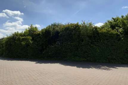 Grundstück zu verkaufen in Vreden 259.000,00 € 739 m²