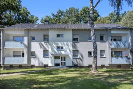 Wohnung zum Mieten in Castrop-Rauxel 439,00 € 50 m²