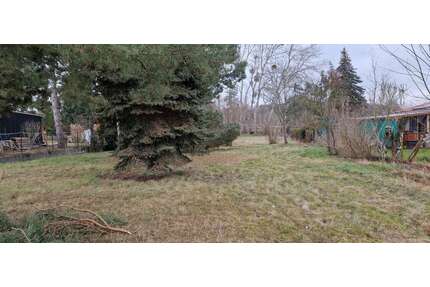 Grundstück zu verkaufen in Wustermark 230.000,00 € 1256 m²