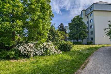 Wohnung zum Mieten in Freiberg 428,00 € 57.19 m²