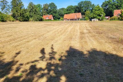 Bauland wartet auf Sie ... - 150.000,00&nbsp;EUR Kaufpreis, ca.&nbsp; 4.000,00&nbsp;m&sup2; in Balge (PLZ: 31609)
