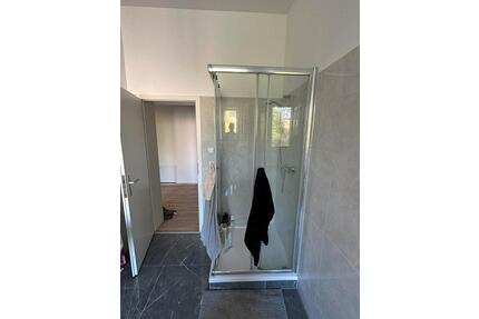 Geräumige Wohnung in Halle zu vermieten - Halle (Saale) Damaschkestraße