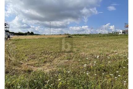 WO DIE TRÄUME WAHR WERDEN KÖNNEN - Kraichtal