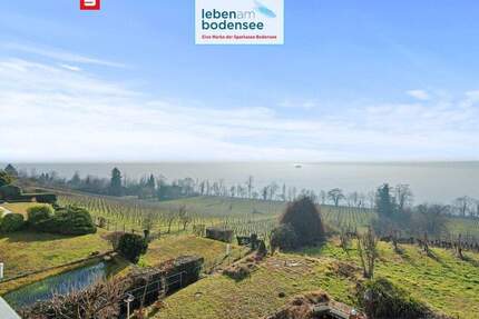 Einmalige Lage - 180° See- und Bergsicht 2,5 Zimmerwohnung - vis à vis der Insel Mainau - Meersburg