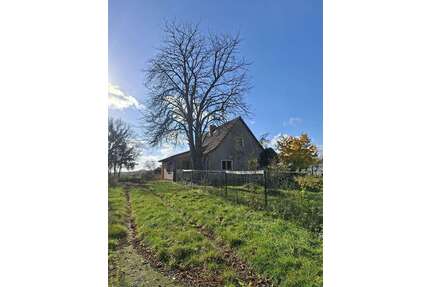 Haus zum Kaufen in Wiesenaue OT Jahnberge 250.000,00 € 120 m²