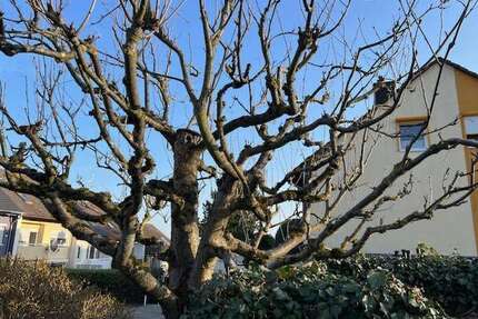 Haus zum Kaufen in Wiesbaden 534.000,00 € 137 m²