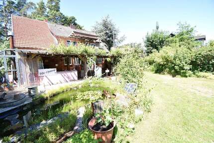 Haus zum Kaufen in Bargfeld 375.000,00 € 205.6 m²