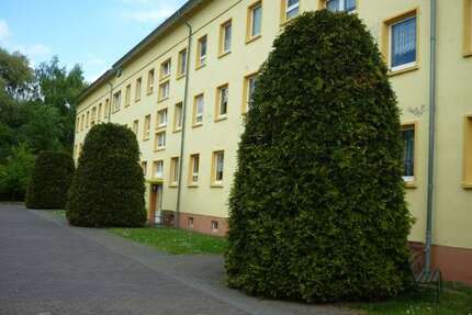 Wohnung zum Mieten in Ausleben 295,00 € 53.51 m²