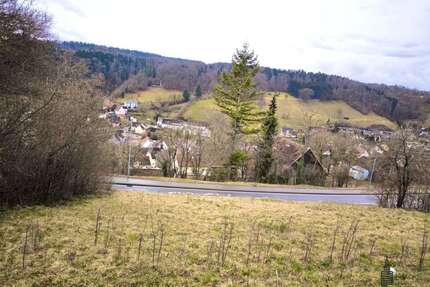 Grundstück zu verkaufen in Horb am Neckar Rexingen 111.000,00 € 1176 m² - Horb am Neckar / Rexingen