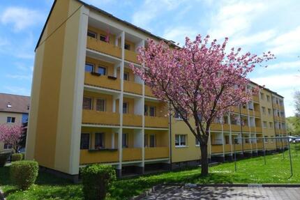 Großzügige Wohnung unterm Dach! - Limbach-Oberfrohna
