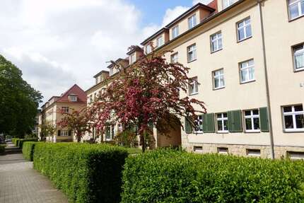 Wohnung zum Mieten in Dresden 563,00 € 74 m²