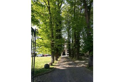 Büro mit drei Räumen in einer Villa in Neuwied-Niederbieber 84 qm