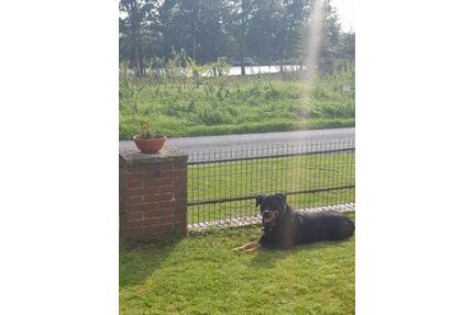 Urlaub am Nrdostseekanal, Urlaub mit Hund - Albersdorf
