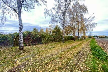 Grundstück in Lehrte 15.600,00 € 11500 m²