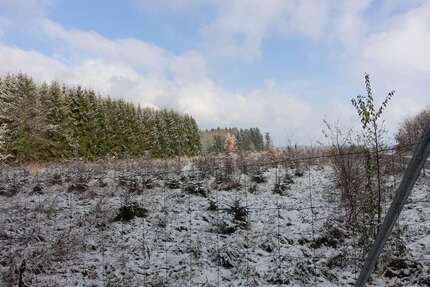 Grundstück in Schnaitsee 80.000,00 € 6600 m²