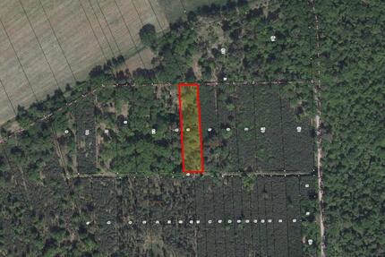 Vertragsfreie Waldfläche und 2 straßenbegleitende Grünstreifen im Landkreis Stendal - Tangerhütte