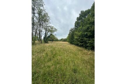 Garten Acker Wiese Waldgrundstück Freizeit Sulzbach - Gaggenau