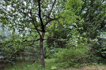 Grundstück zu verkaufen in Potsdam 287.000,00 € 500 m²